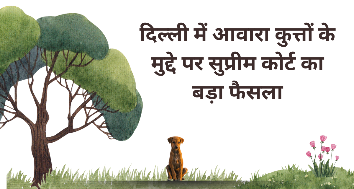 Delhi Stray Dogs